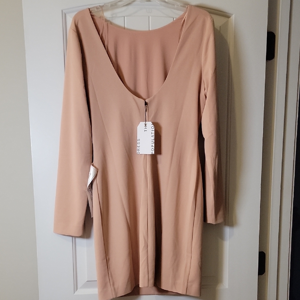Dress the Population Long Sleeve Blush Dress - Picture 3 of 4